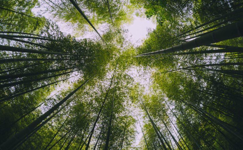 asset data management for environmental companies