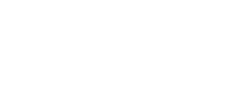 vGIS small logo
