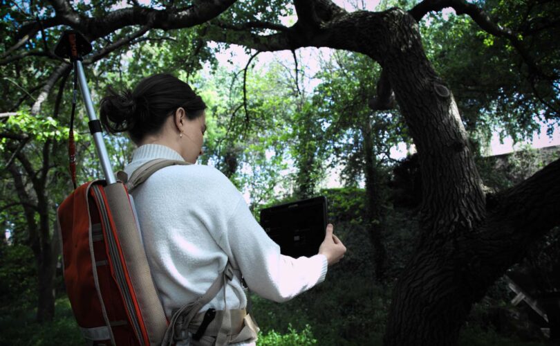 Mobile GIS operator in a forest area