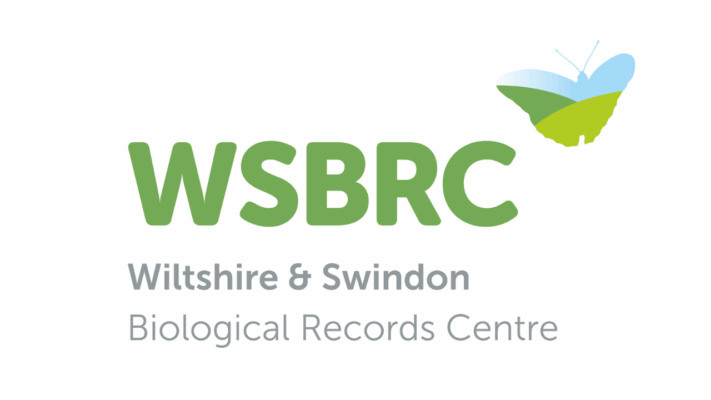 WSBRC logo